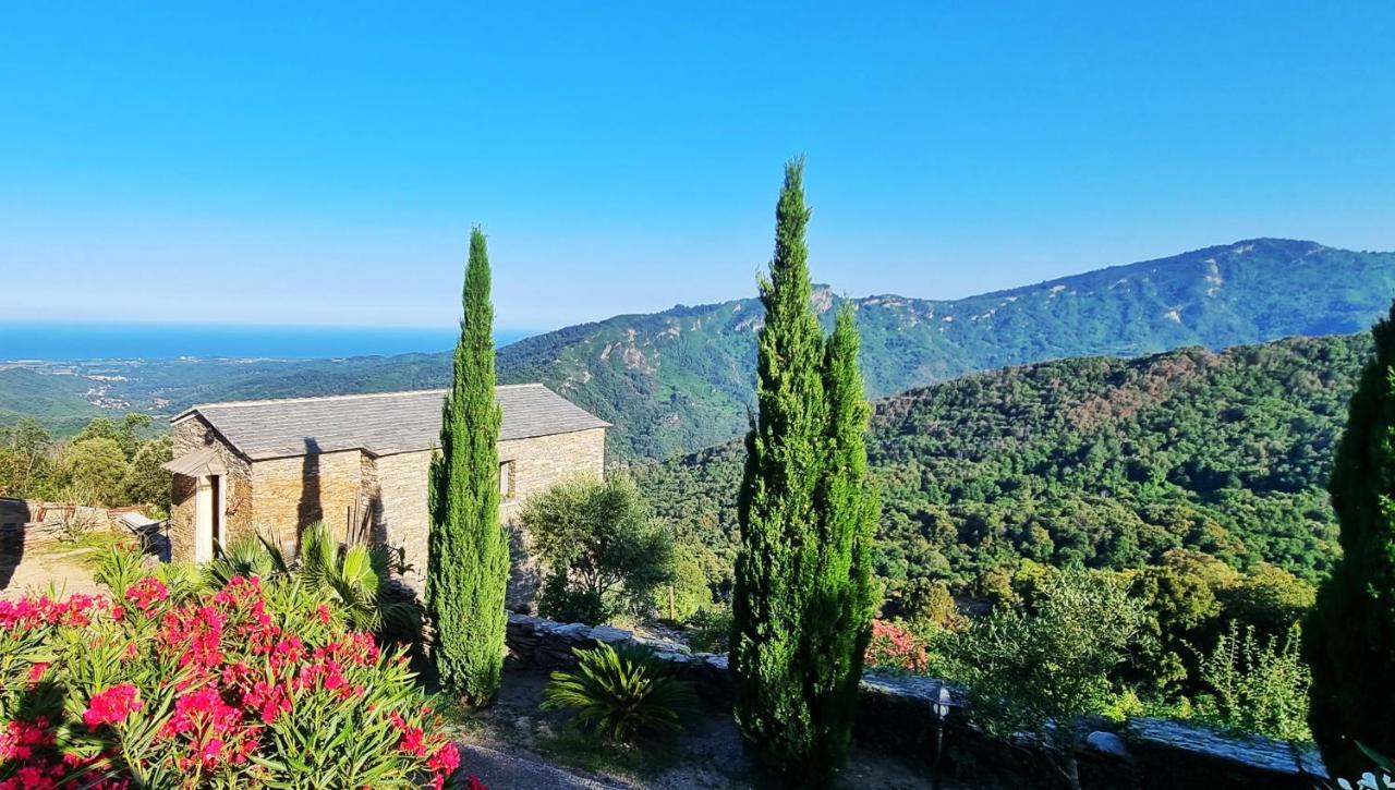 Domaine Colonna-Santini, Gite Piscine, Sauna, Spa Porri Buitenkant foto