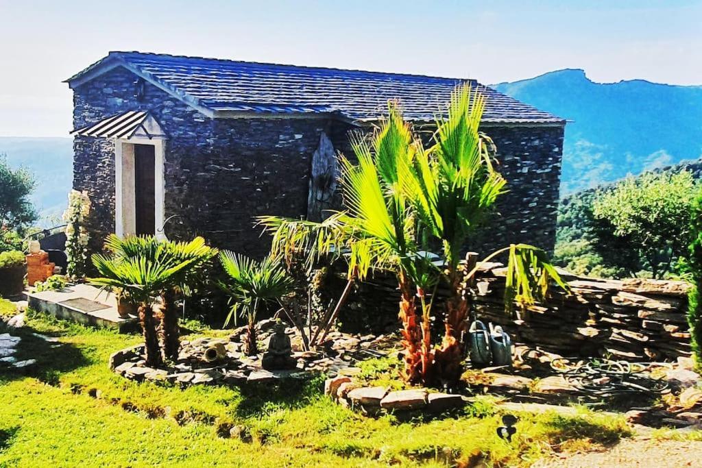 Domaine Colonna-Santini, Gite Piscine, Sauna, Spa Porri Buitenkant foto